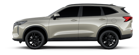 NUEVO H6